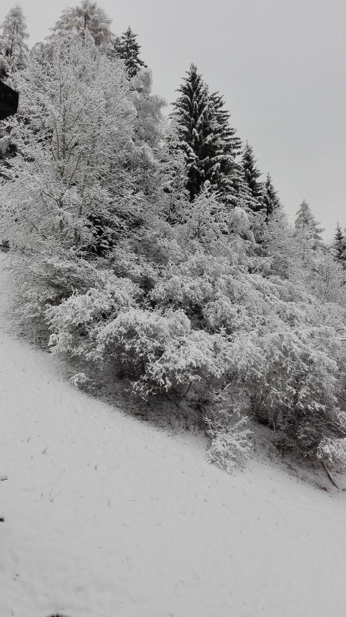 Pension Brunner Bad Kleinkirchheim Zewnętrze zdjęcie